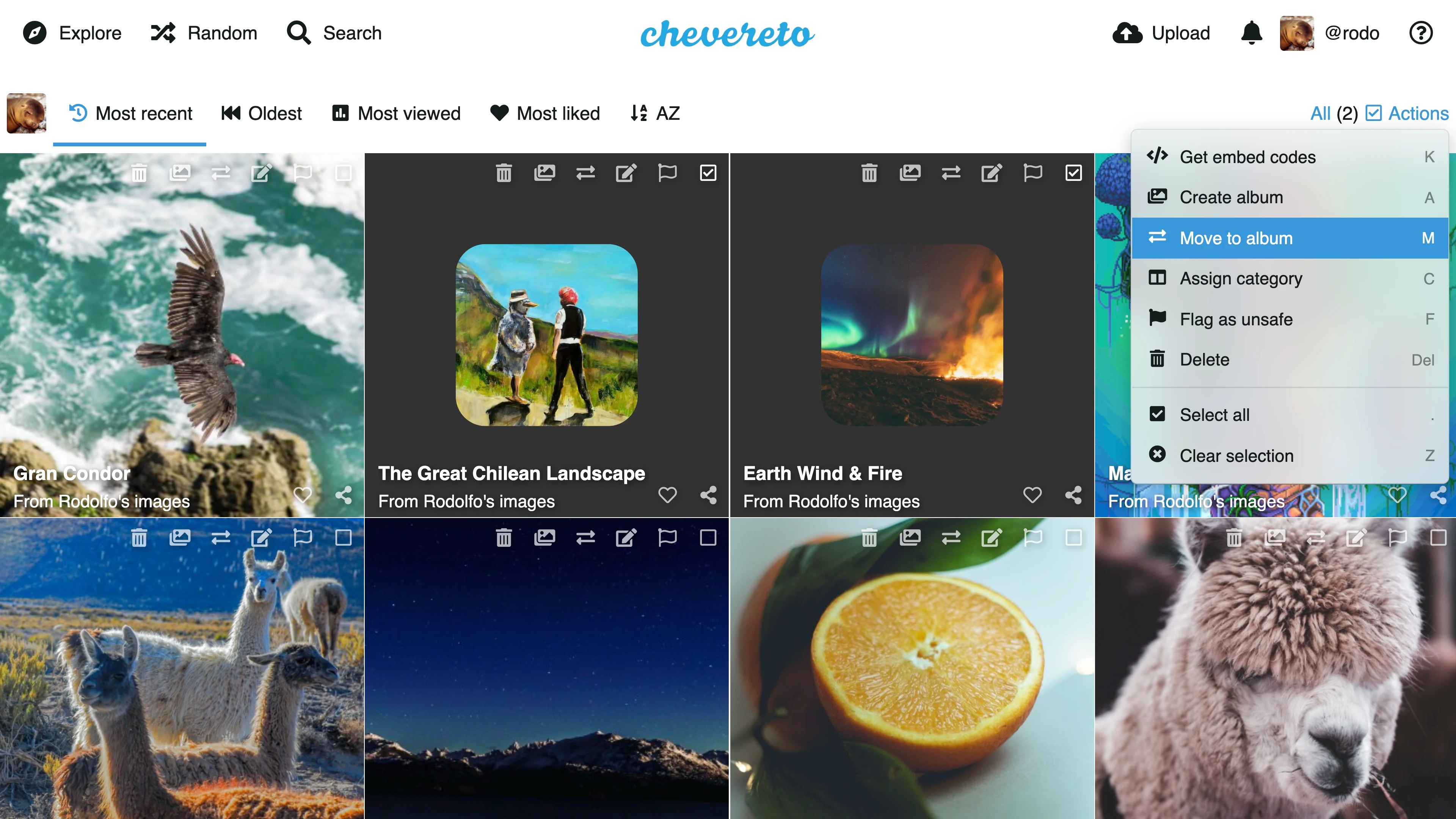 Chevereto Pro  - Image Hosting Software