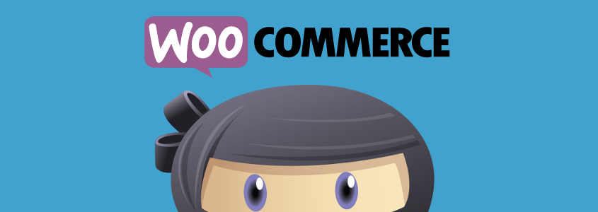 WP Adverts - Accept Payments Using WooCommerce Plugin  + Addons