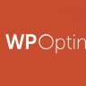 WP Optimize Premium  – WordPress Performance Plugin