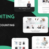Auditing  - Accounting Consultant, Finance WordPress Theme